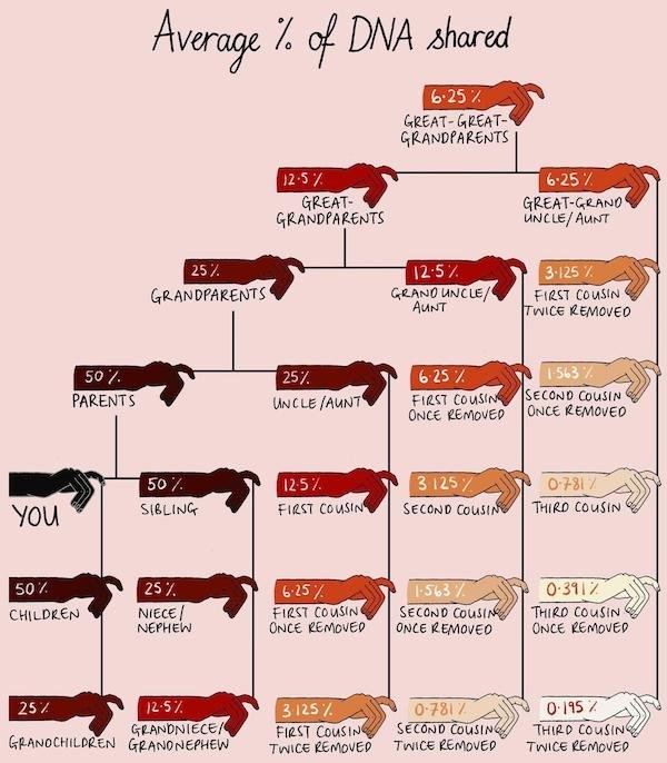 interestingdata12_005