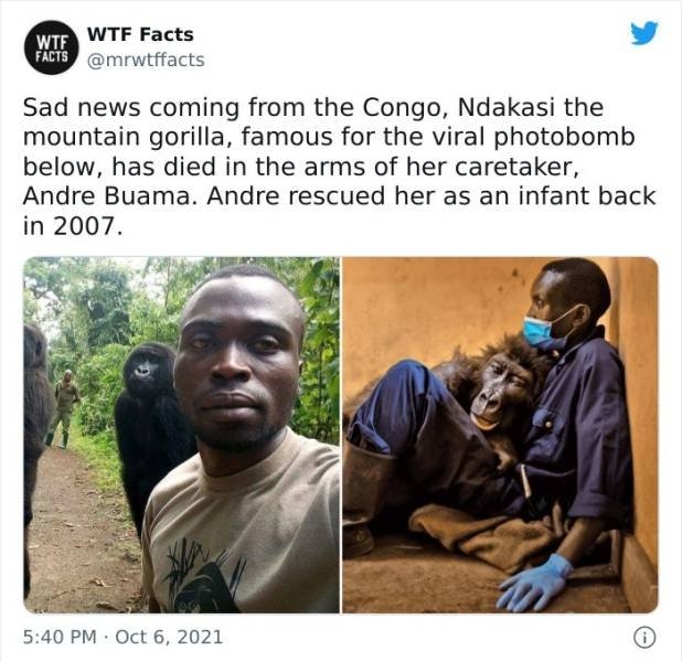 interestingfacts11_006