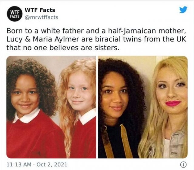 interestingfacts11_009