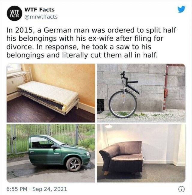 interestingfacts11_011