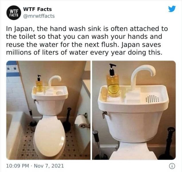 interestingfacts11_018