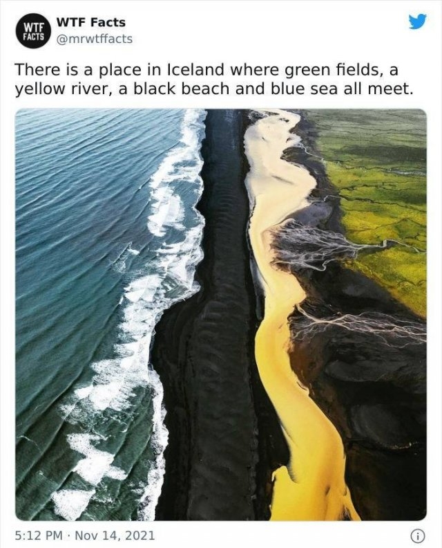 interestingfacts11_022