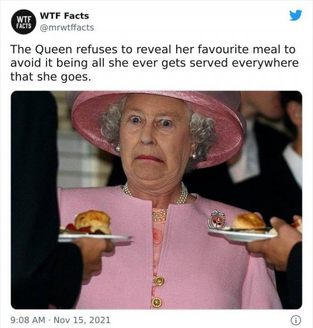 interestingfacts11_026