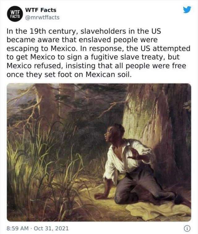 interestingfacts11_029