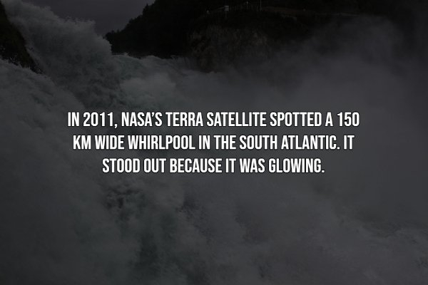 interestingfacts12_002