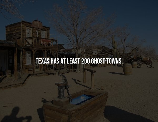 interestingfacts12_006