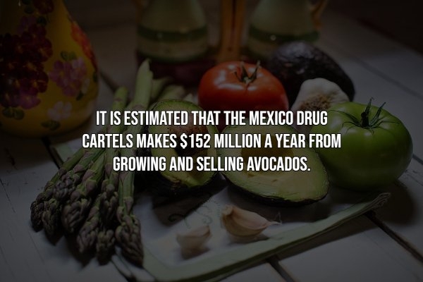 interestingfacts12_008