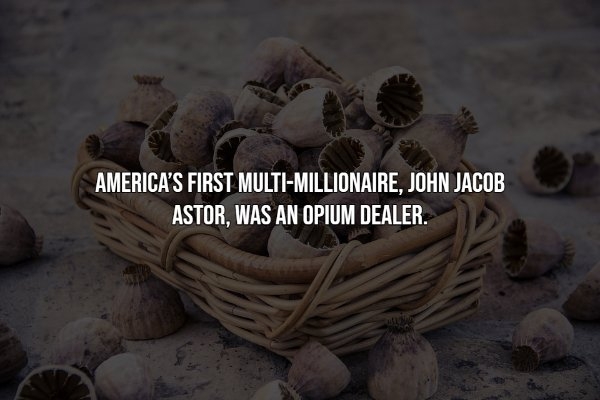 interestingfacts12_014