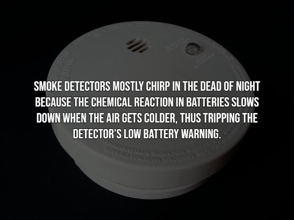 interestingfacts12_016