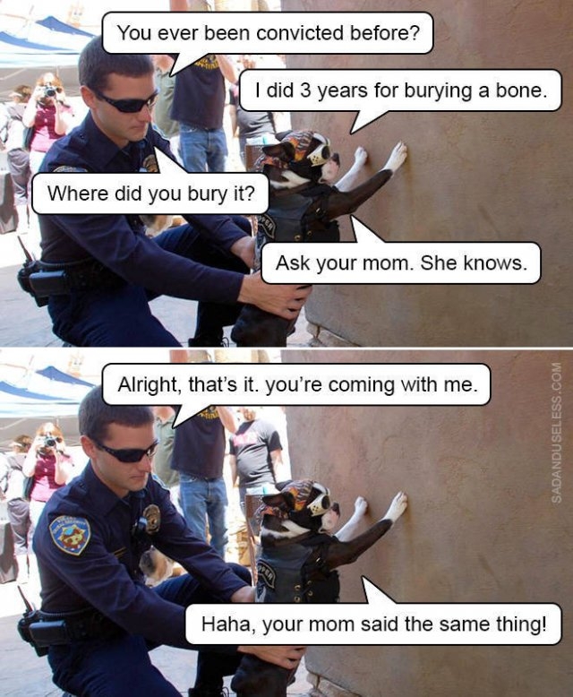 policememes_008