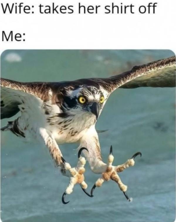 randompicsforadults5_010