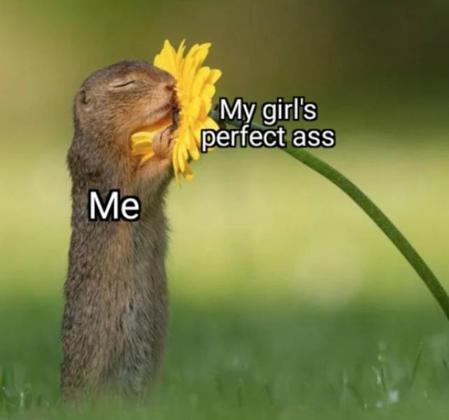 randompicsforadults5_020