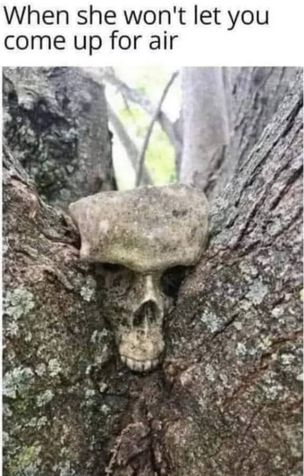 randompicsforadults5_023