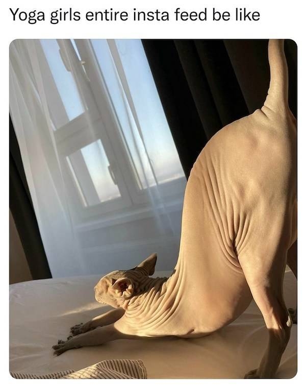 randompicsforadults5_028