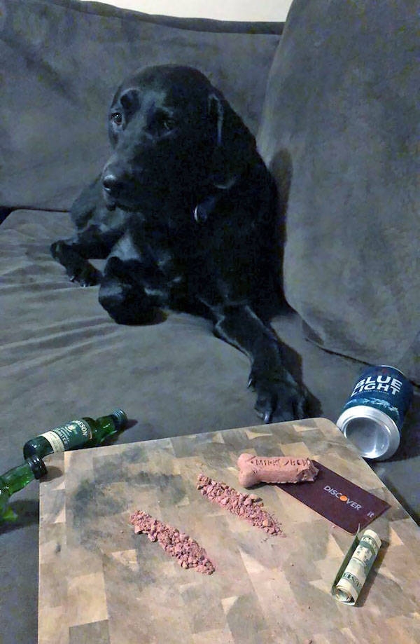 randompicsforadults5_032