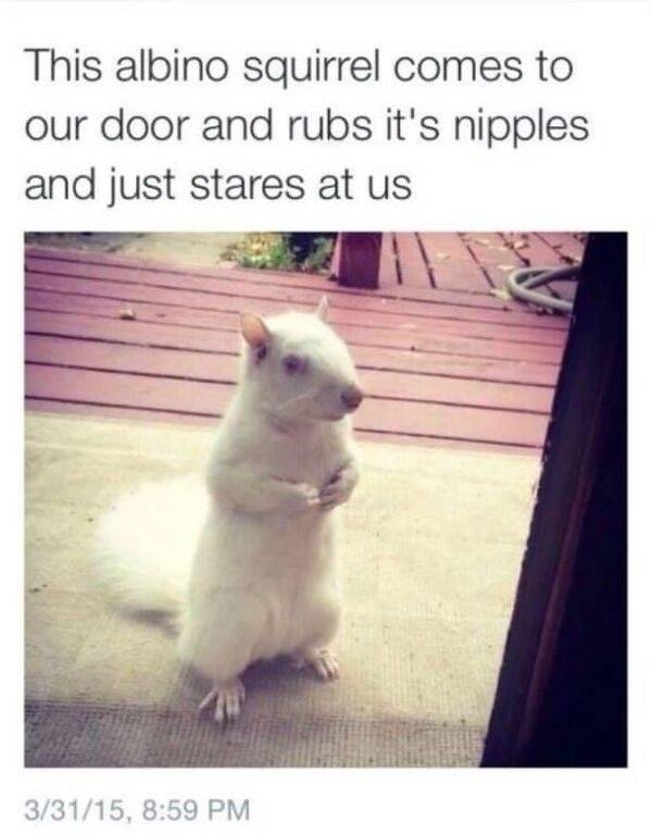 randompicsforadults5_043