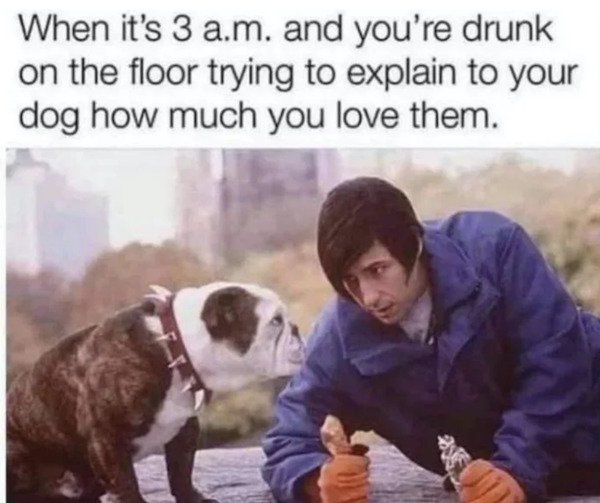 alcoholmemes2_022