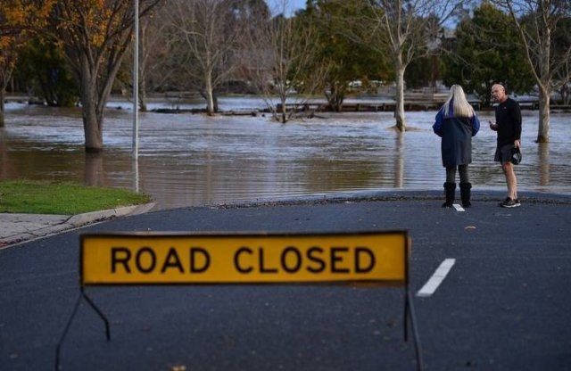 australiaspiderinvasion_002