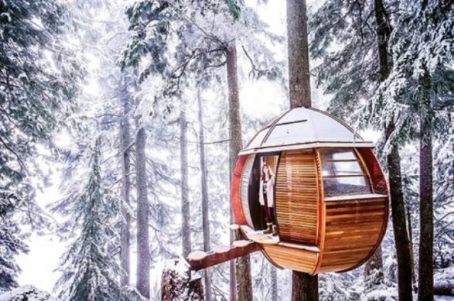awesometreehouses_001