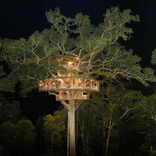awesometreehouses_006
