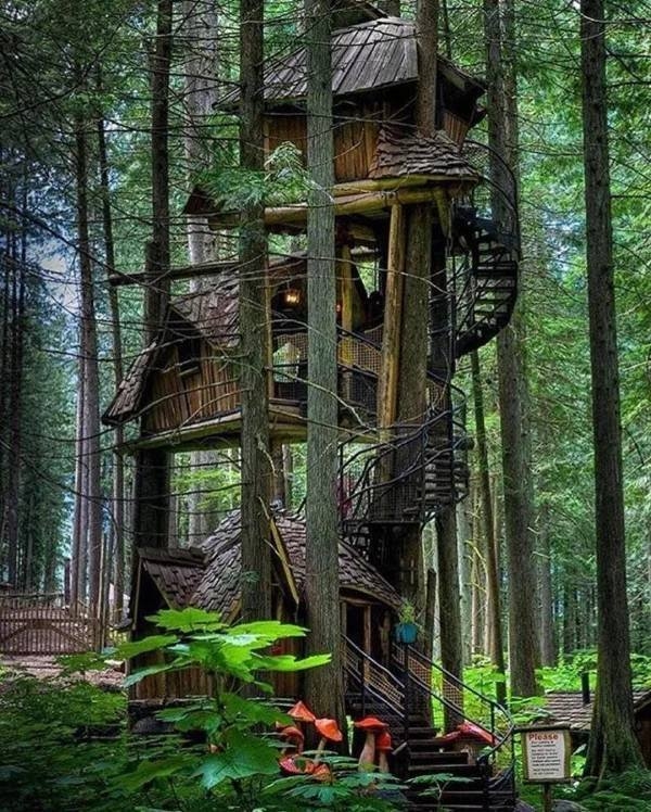 awesometreehouses_008
