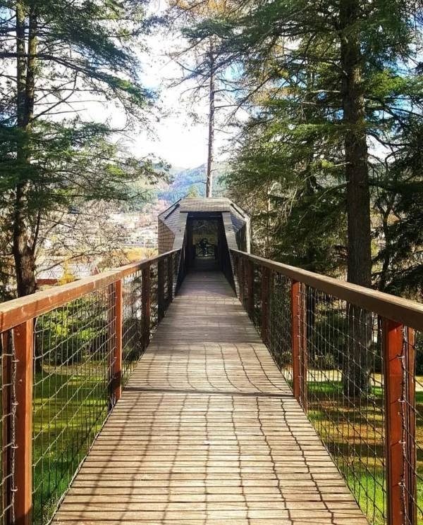 awesometreehouses_011