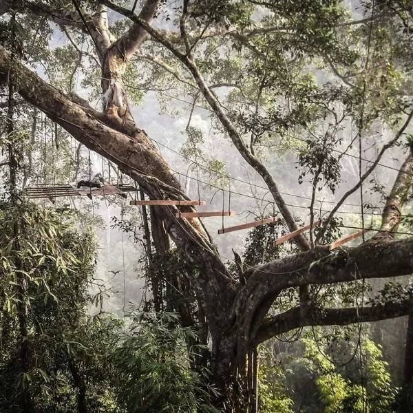 awesometreehouses_012