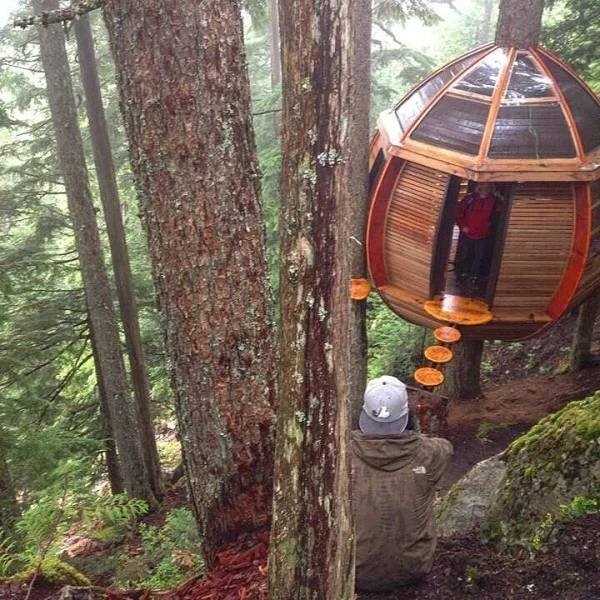 awesometreehouses_015