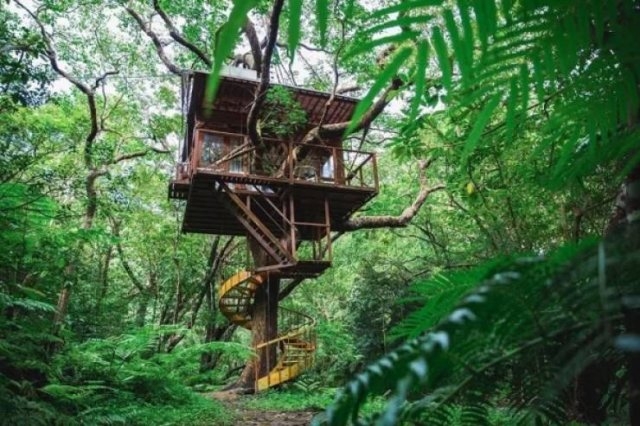 awesometreehouses_019