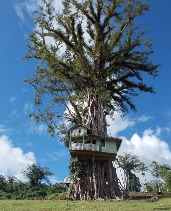 awesometreehouses_029