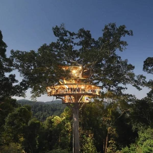 awesometreehouses_047