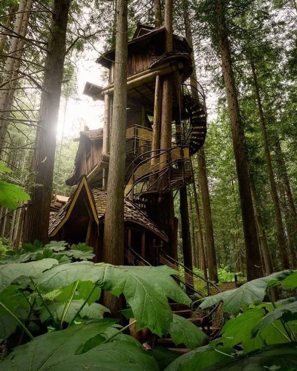 awesometreehouses_050