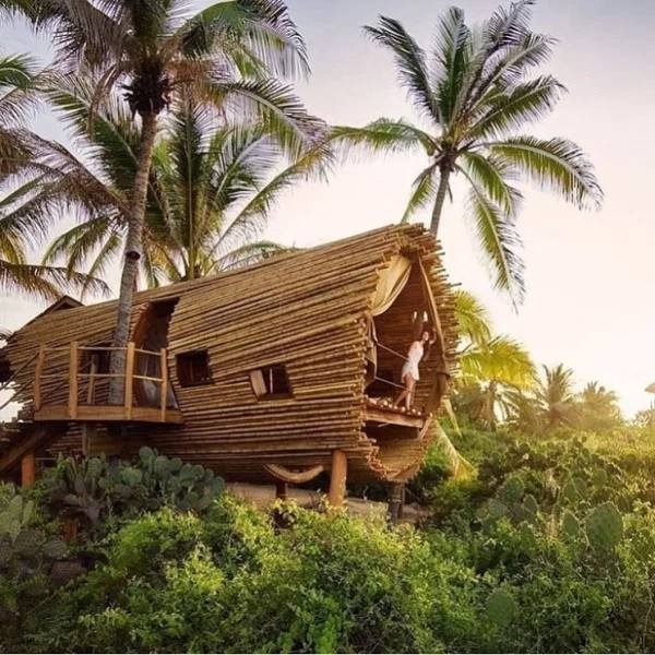 awesometreehouses_052