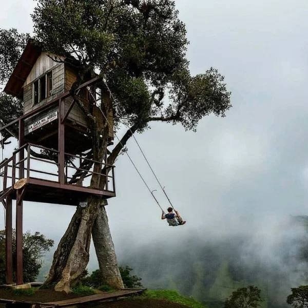 awesometreehouses_055