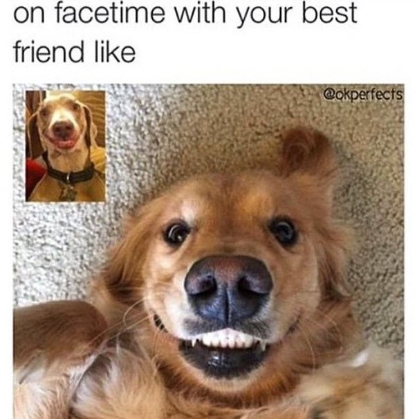 bestfriendmemes_019