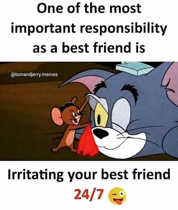 bestfriendmemes_023