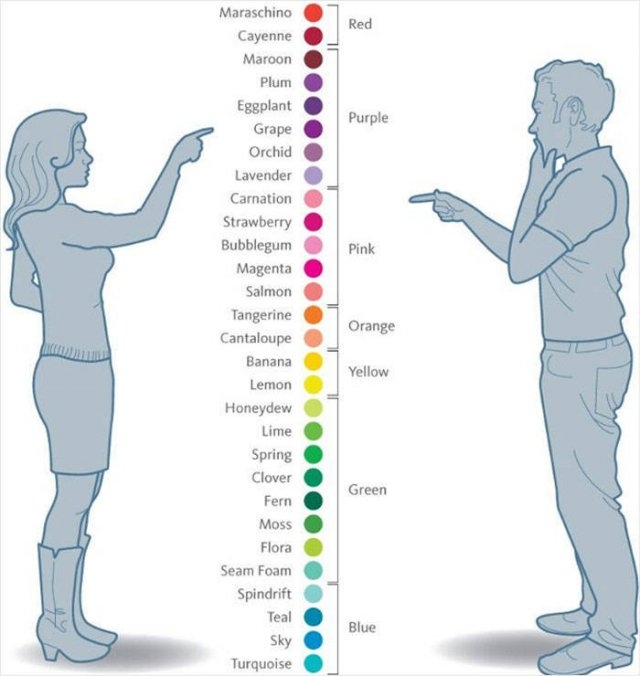 bodyfacts_001 bodyfacts_001