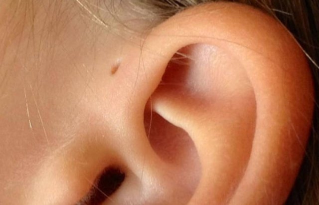 bodyfacts_007 bodyfacts_007