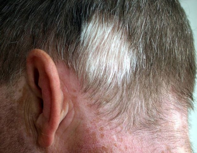 bodyfacts_018 bodyfacts_018