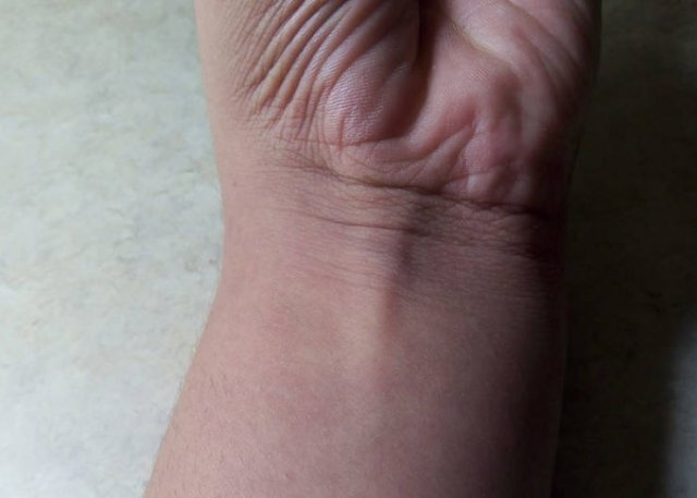 bodyfacts_031 bodyfacts_031