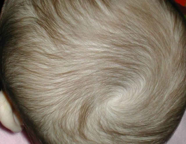 bodyfacts_040 bodyfacts_040