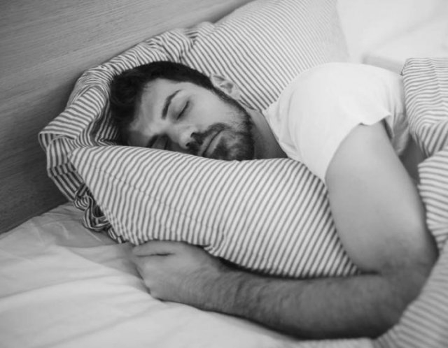 bodyfacts_042 bodyfacts_042