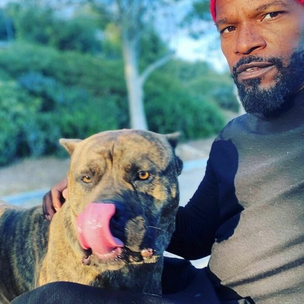 celebritieswithdogs_001