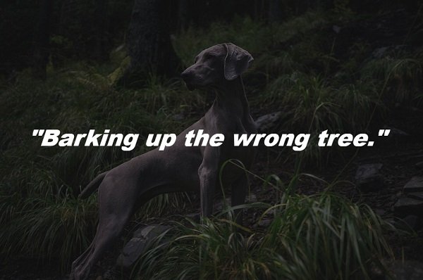 commonphraseorigins_003