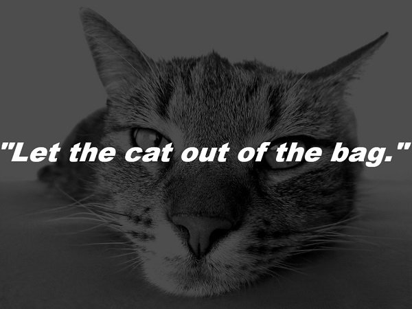 commonphraseorigins_006