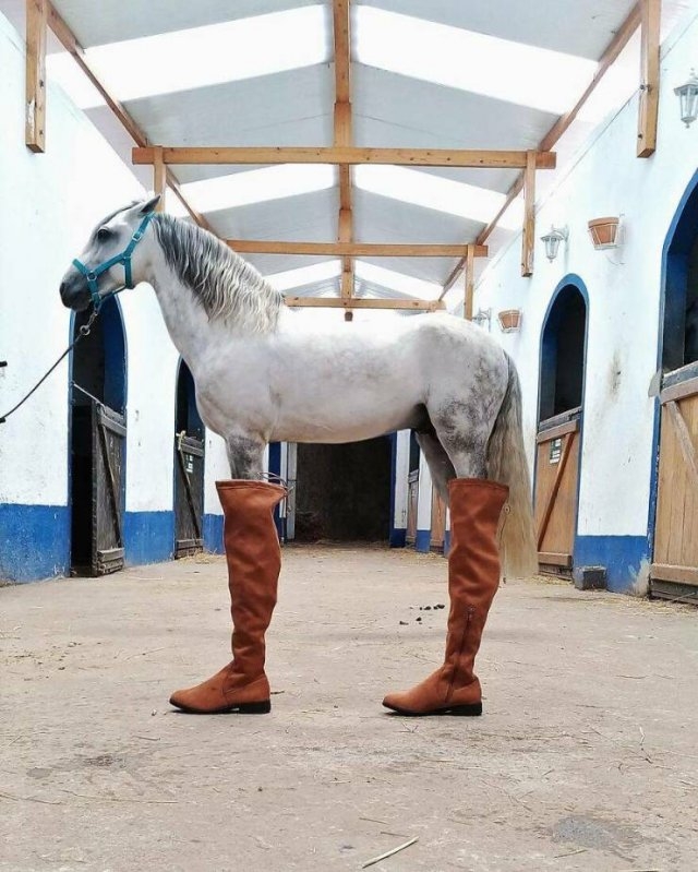 creativephotography_014