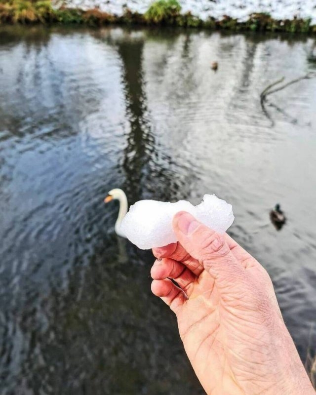 creativephotography_022