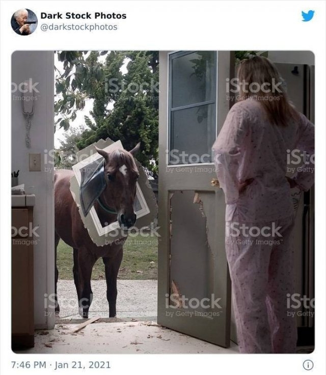 darkstockphotos_019