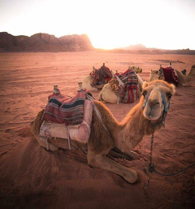 davideanzimanniphotos_024