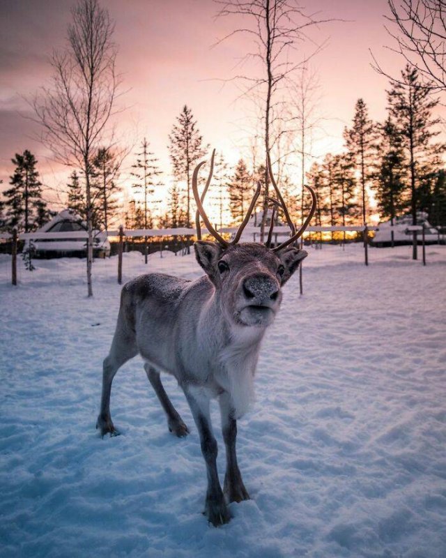 davideanzimanniphotos_028